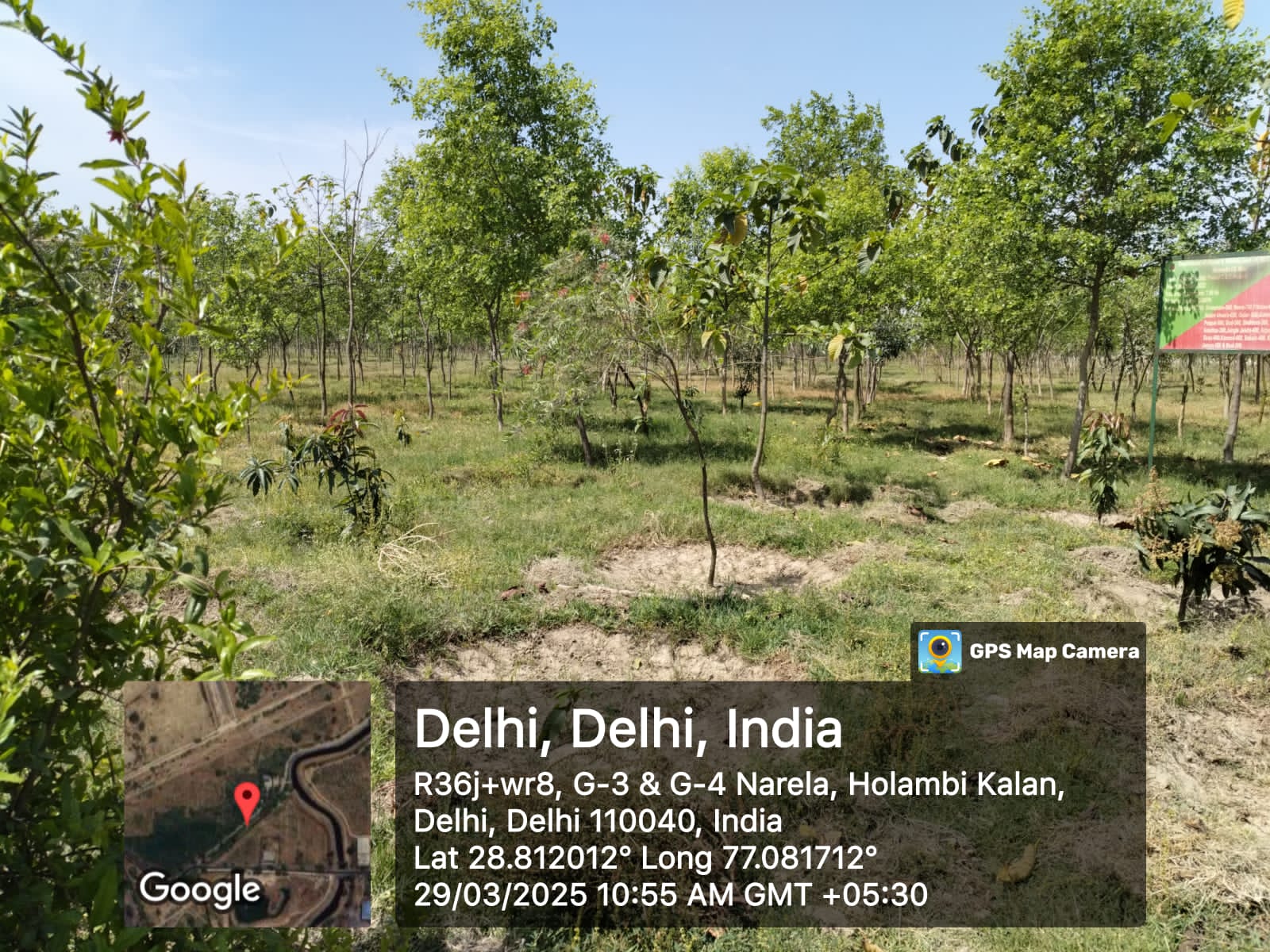 Compensatory Afforestation